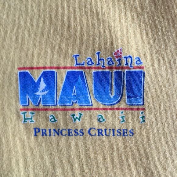 Princess Cruise Lines Maui Hawaii - Picture 2 of 5